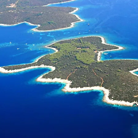 Jagoda, Vela Luka